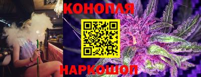 мяу мяу мука Нарткала