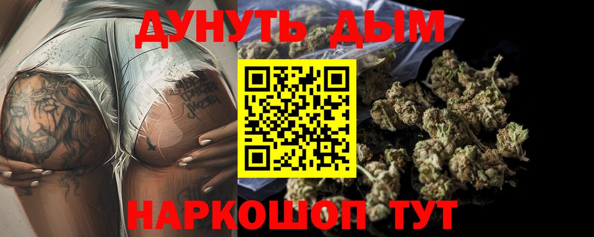 Марихуана планчик  Каннабис сатива  Бошки марихуана LSD WEED  Тара  Вход с VPN 