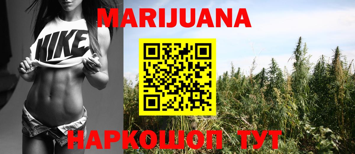 Шишки марихуана сатива Тара
